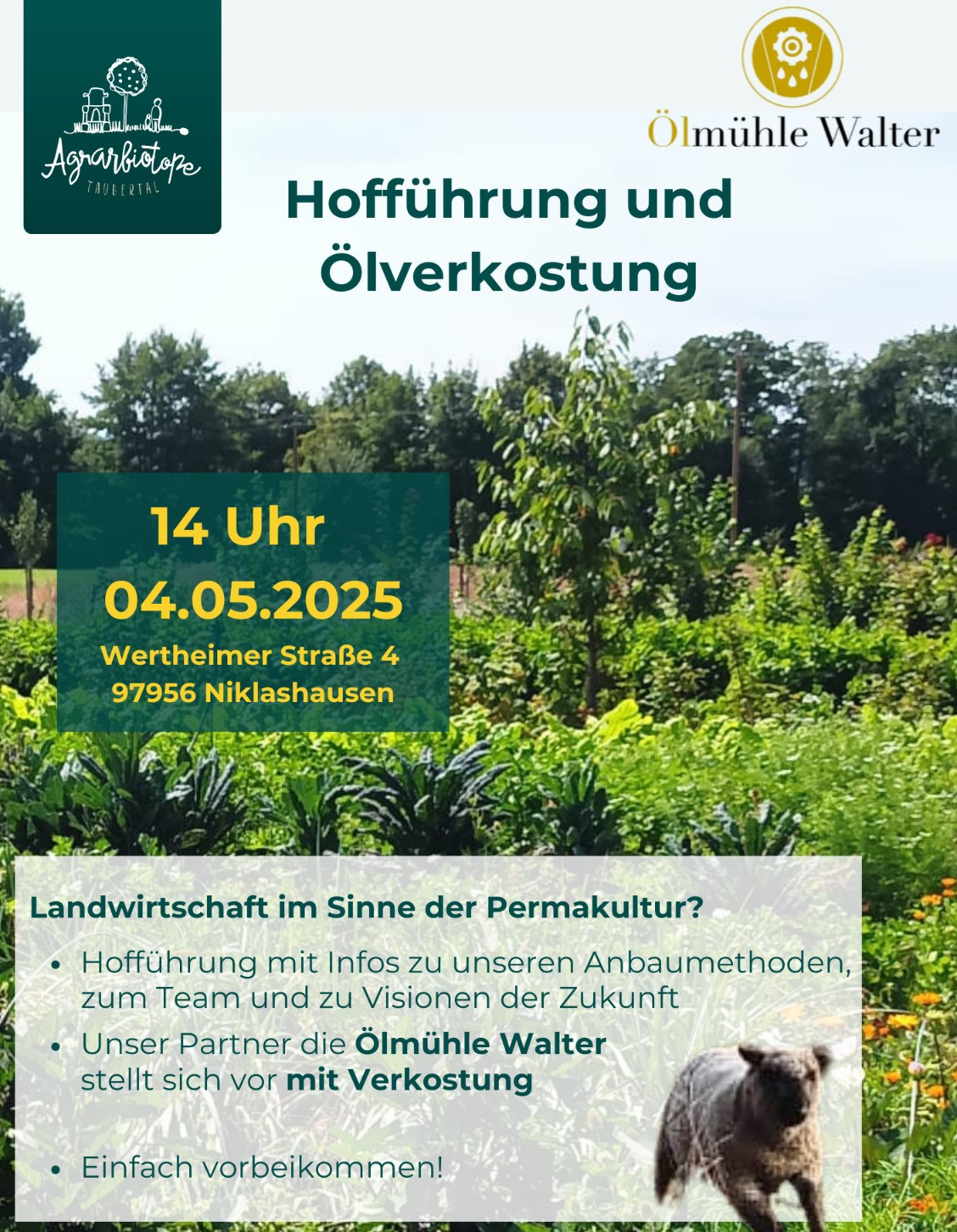 Agrarbiotope Taubertal_1